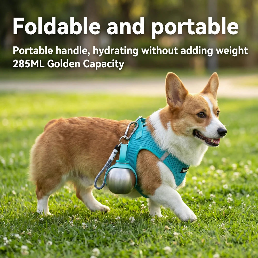 Botella de Agua para Perros